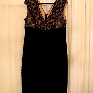 ADRIANNA PAPELL Dress, Size 16

Black lace Cocktail Dress gently worn